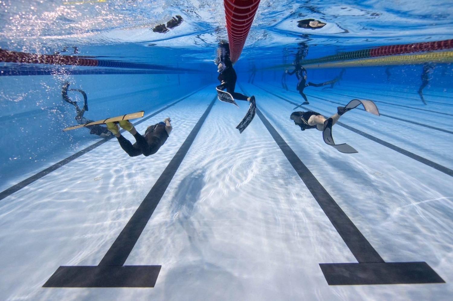 2022.11.13_「自由潛水泳池賽」台中北區運動中心登場 逾百位選手參賽，共9張圖片